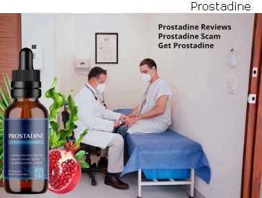 Prostadine Prostate